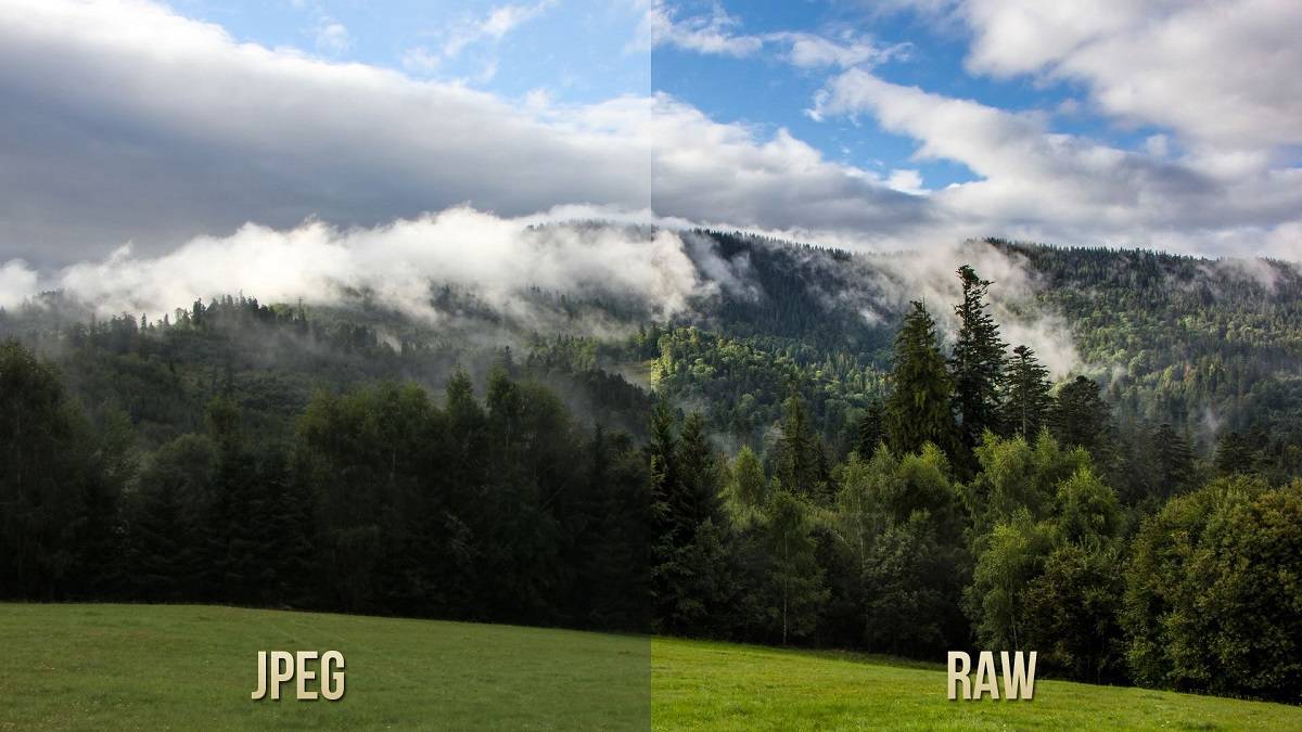 تفاوت دو فرمت RAW و JPEG