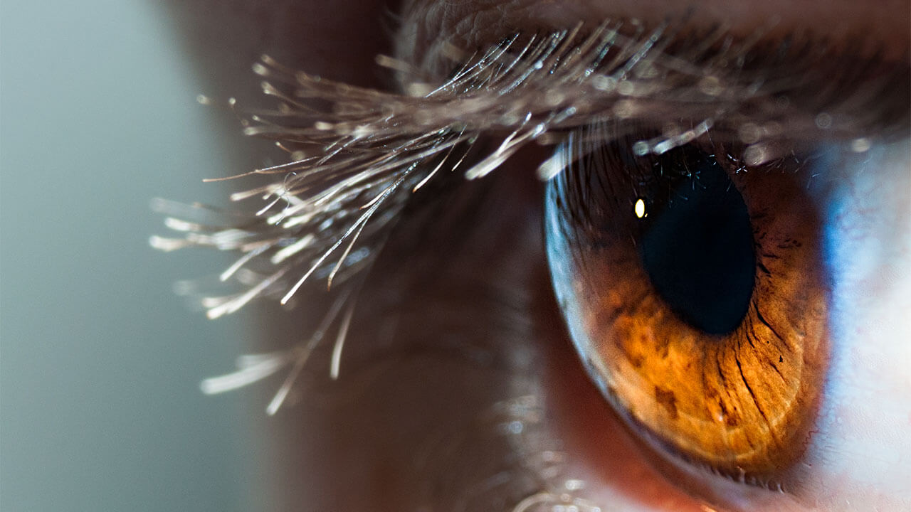 رزولوشن چشم انسان چند مگاپیکسل می باشد؟