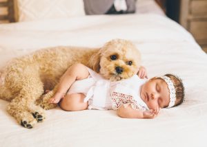 newborn and puppy
