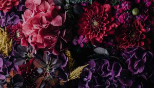 راهنمای عکاسی از گل ها