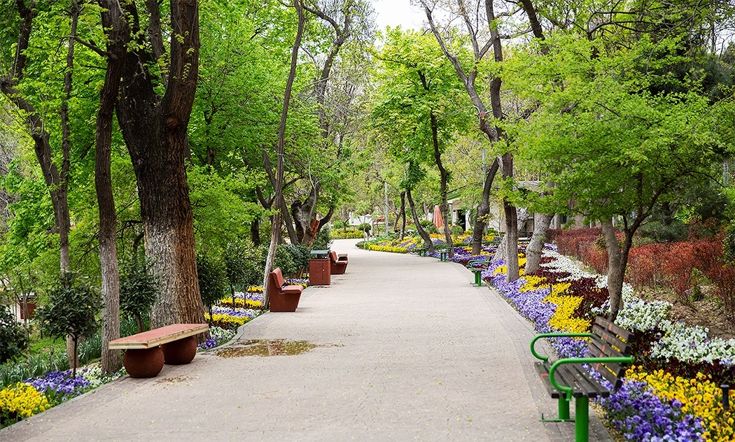 بهترین پارک های تهران برای عکاسی