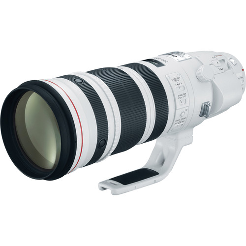 بررسی لنز Canon EF 200-400mm 
