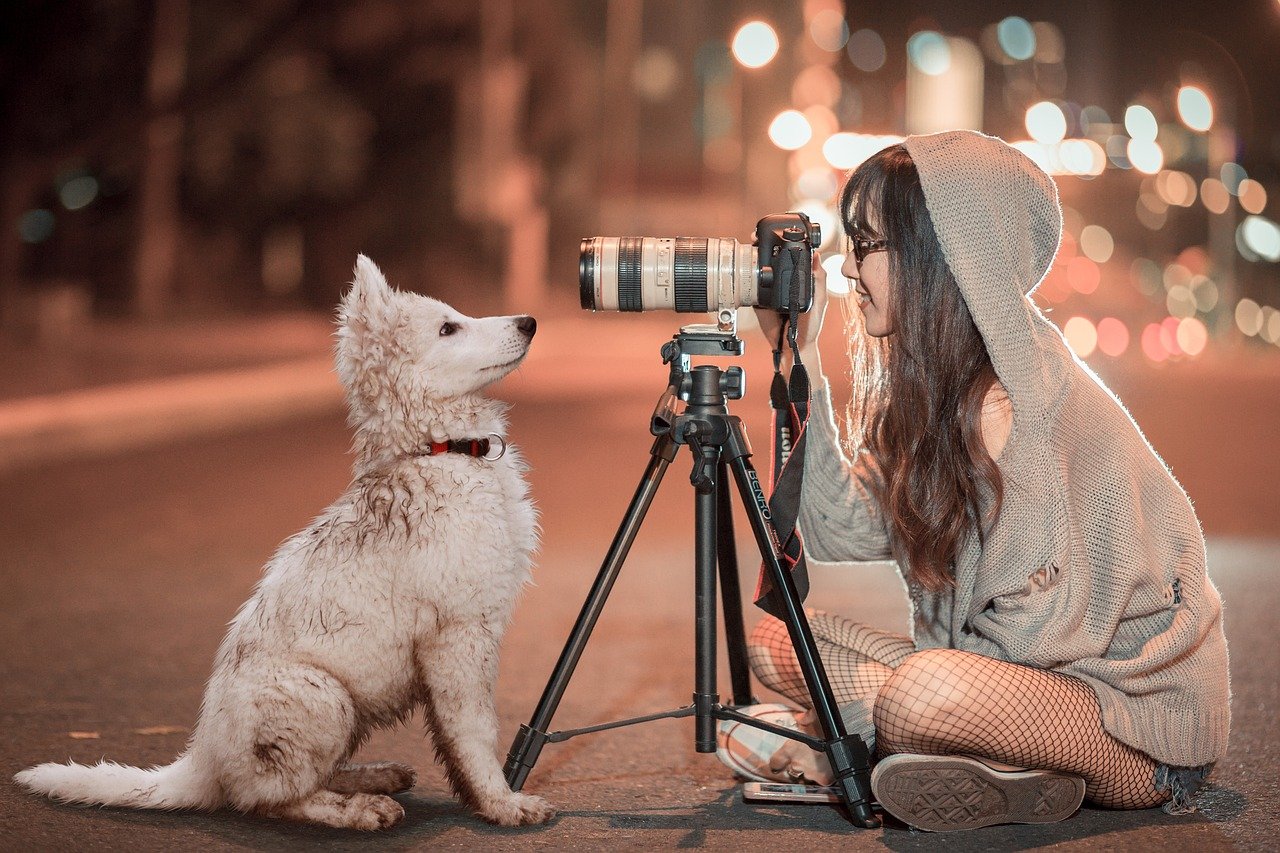 نحوه عکاسی از حیوانات خانگی